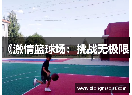 《激情篮球场：挑战无极限》